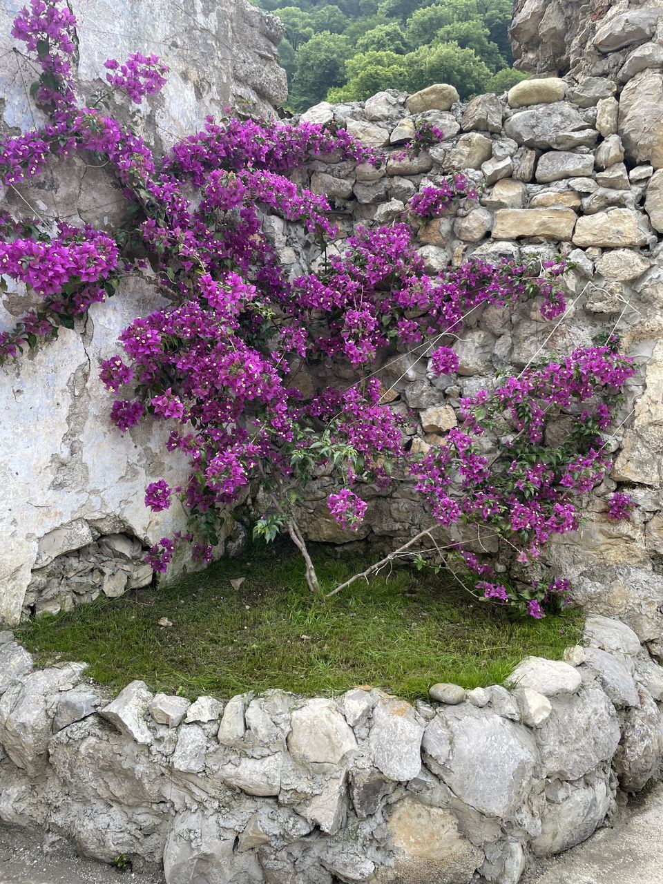 У реки, Гагра — фото 4